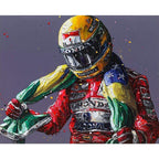 Senna Flag - 25th Anniversary