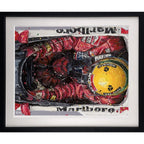 Birds Eye Senna