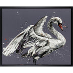 John The Swan