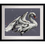 John The Swan