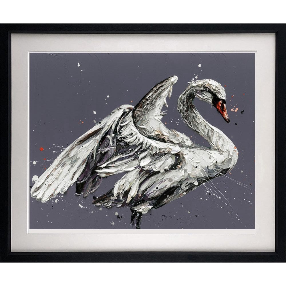 John The Swan