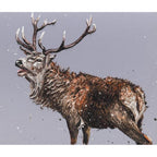 Monarch Of The Glen