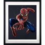 Spiderman 14