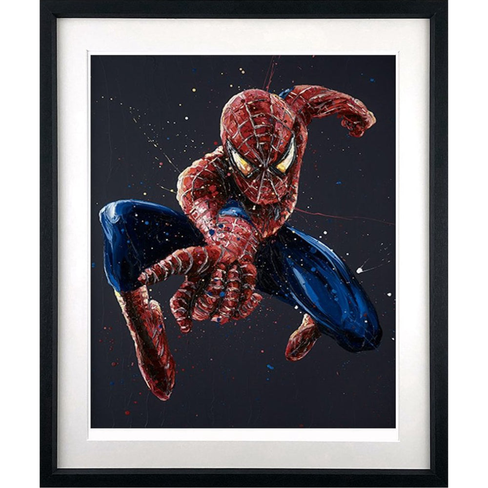 Spiderman 14