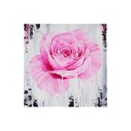 A Magenta Rose