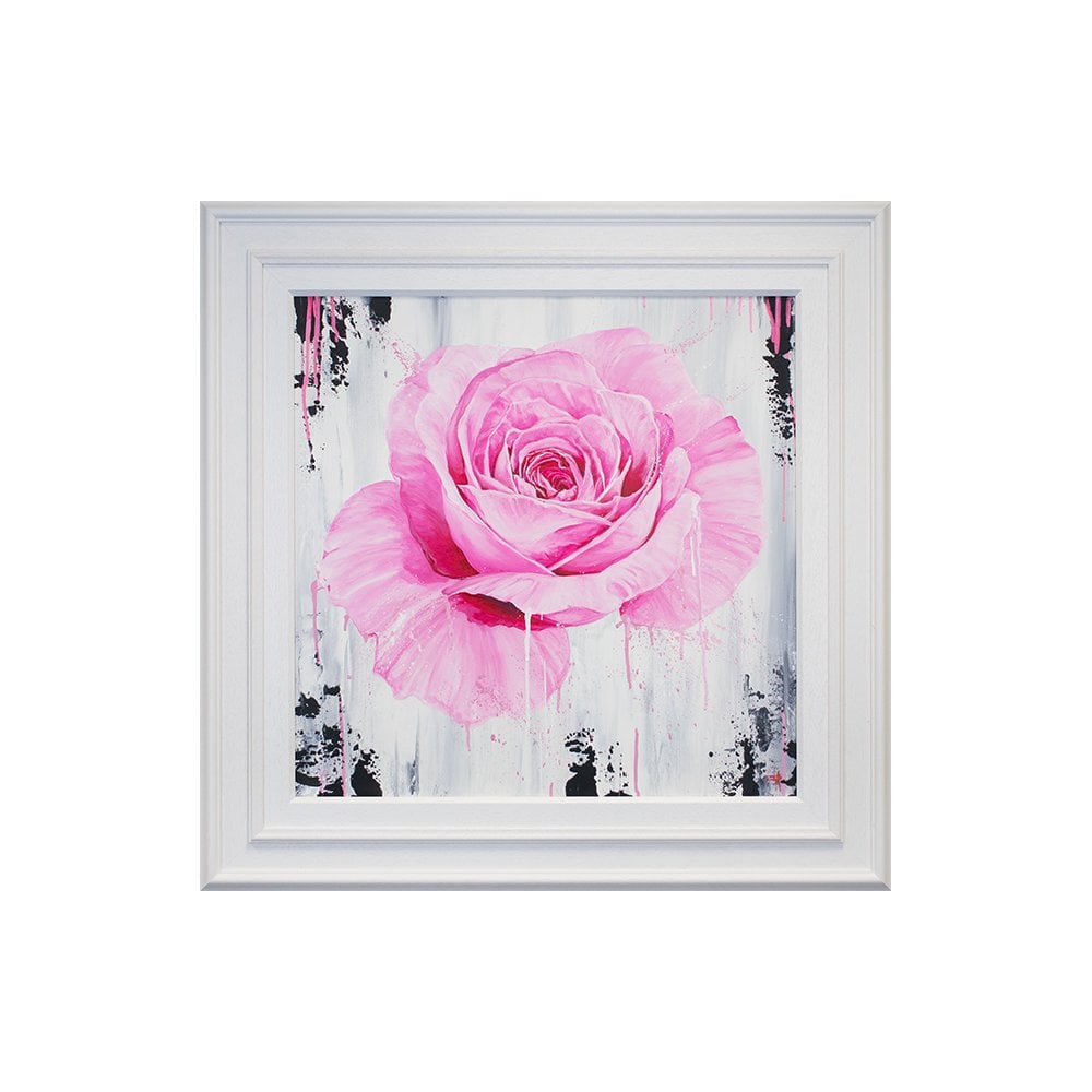 A Magenta Rose