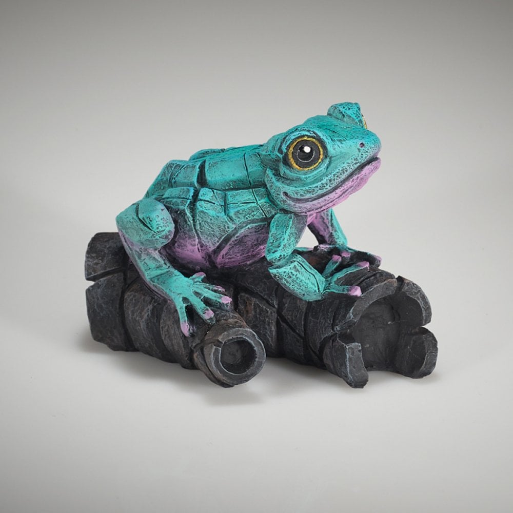 African Tree Frog - Aqua Pink