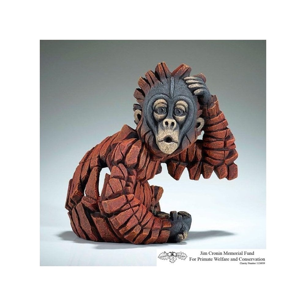 Baby Oh Orangutan
