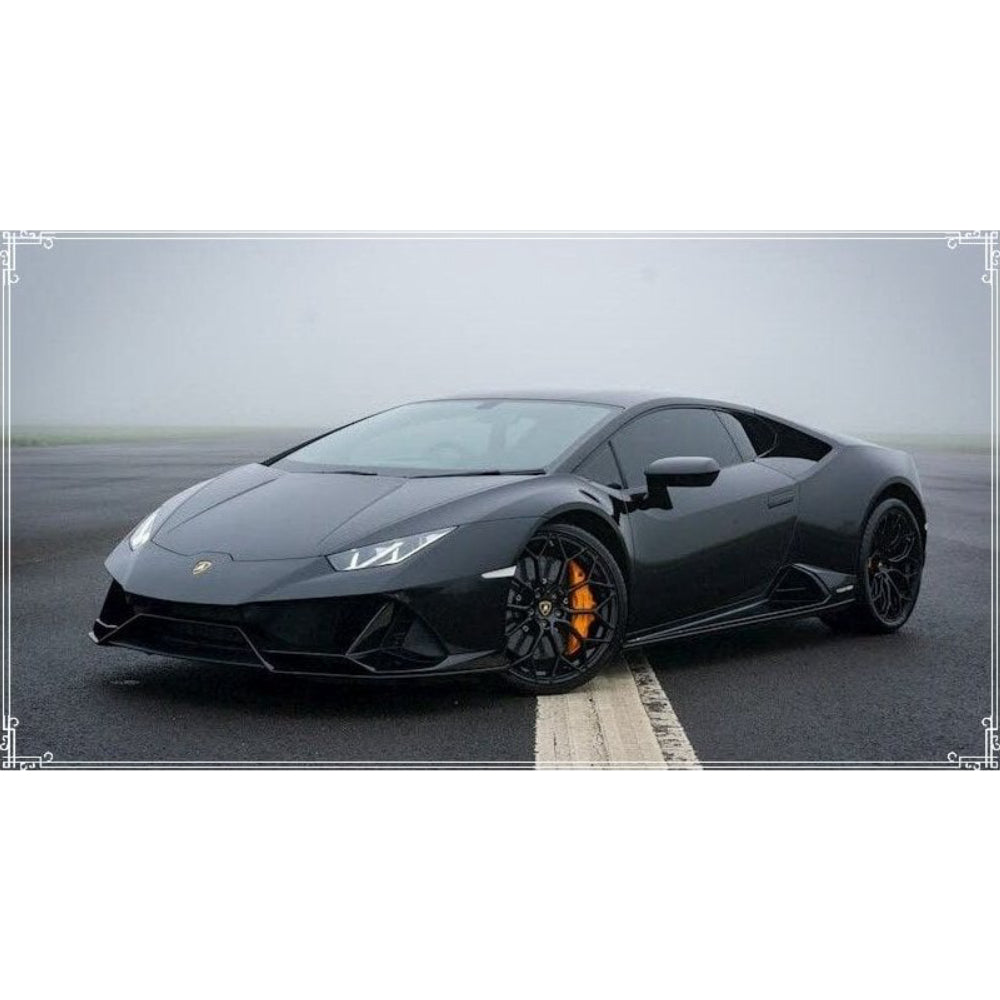Toro - Nero (Original & Genuine Lamborghini Panel)
