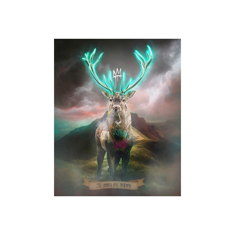 Highland Hunk (Turquoise)