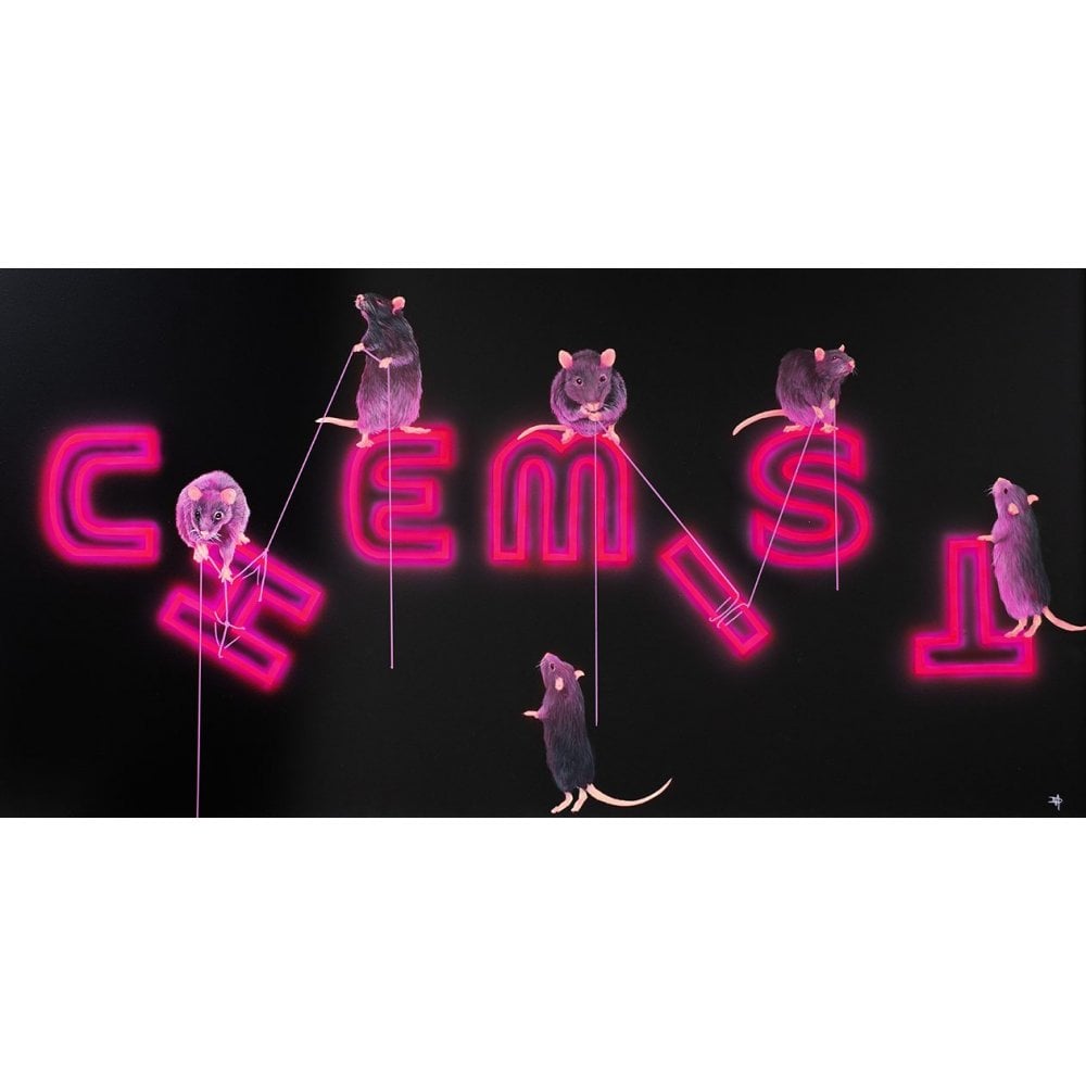 Rats Fixing The Chemist