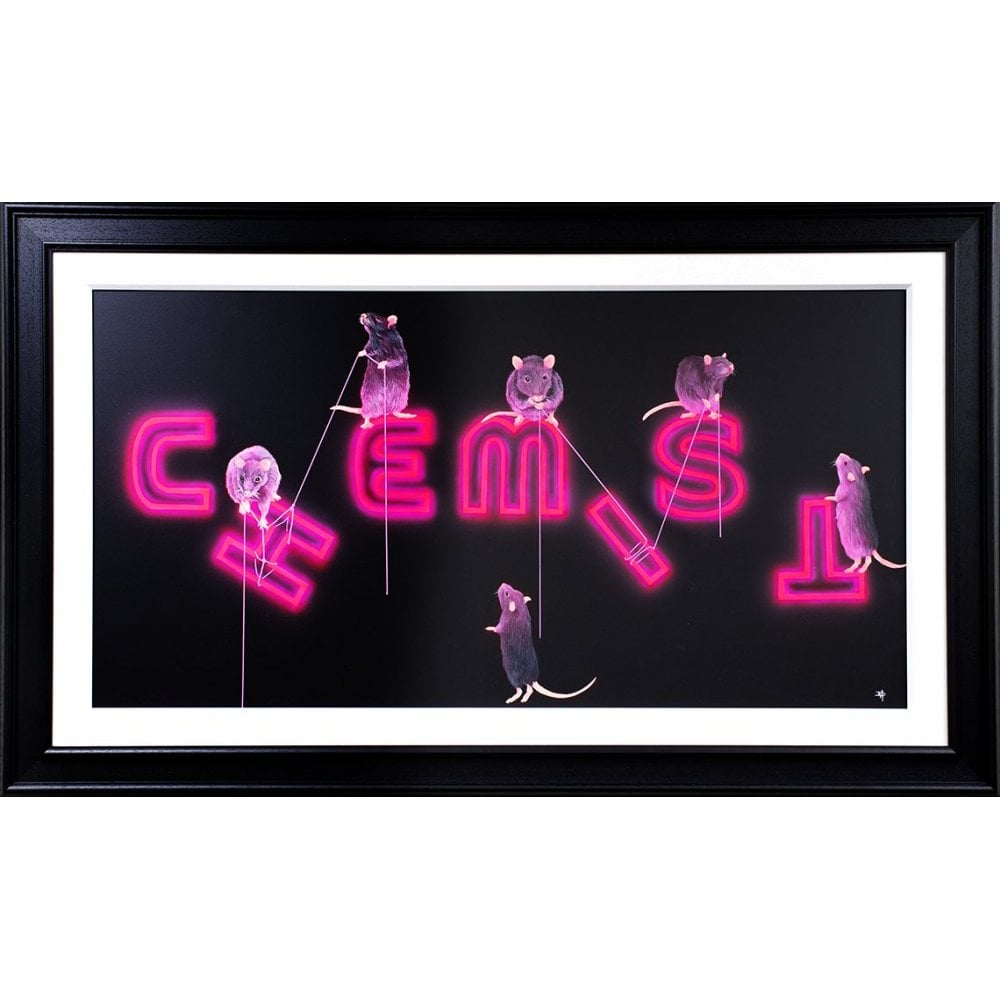 Rats Fixing The Chemist