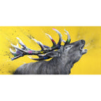 Big Bucks