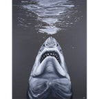 The Real Jaws