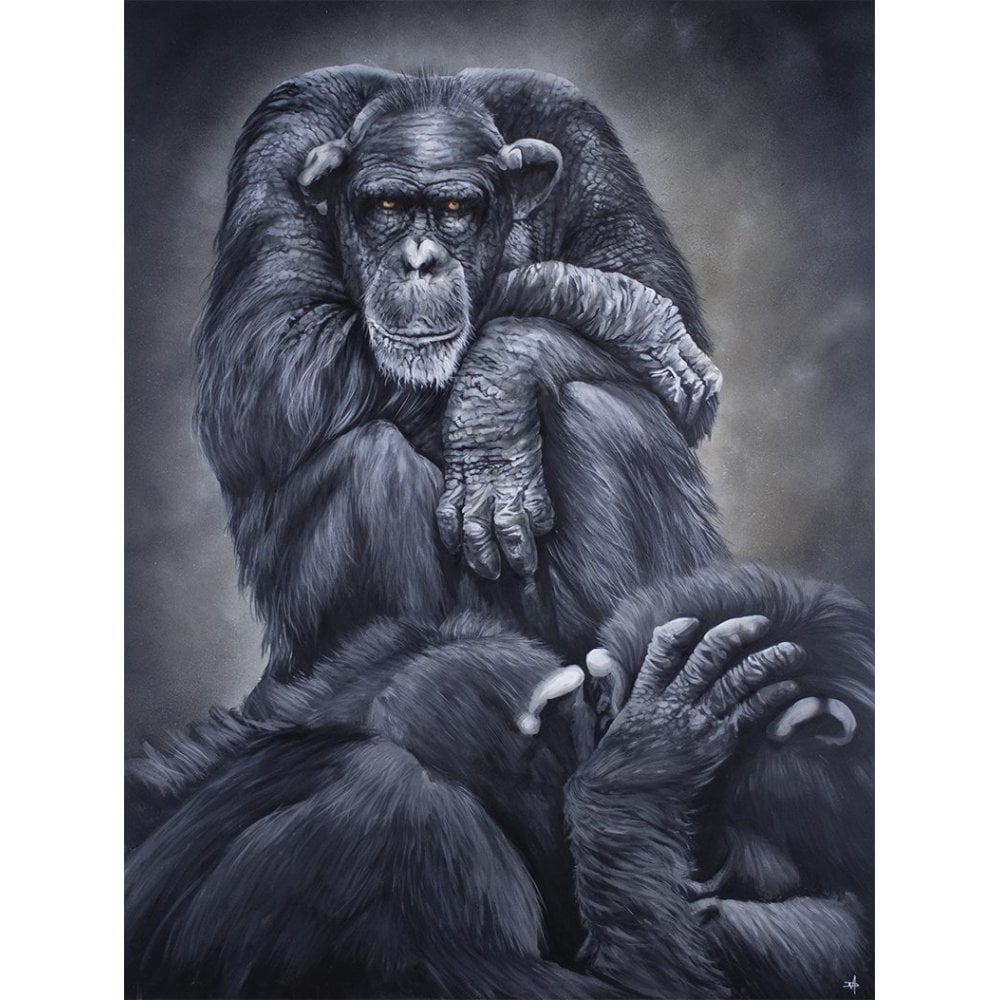 The Observer