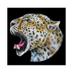 Leopardess (AP15)