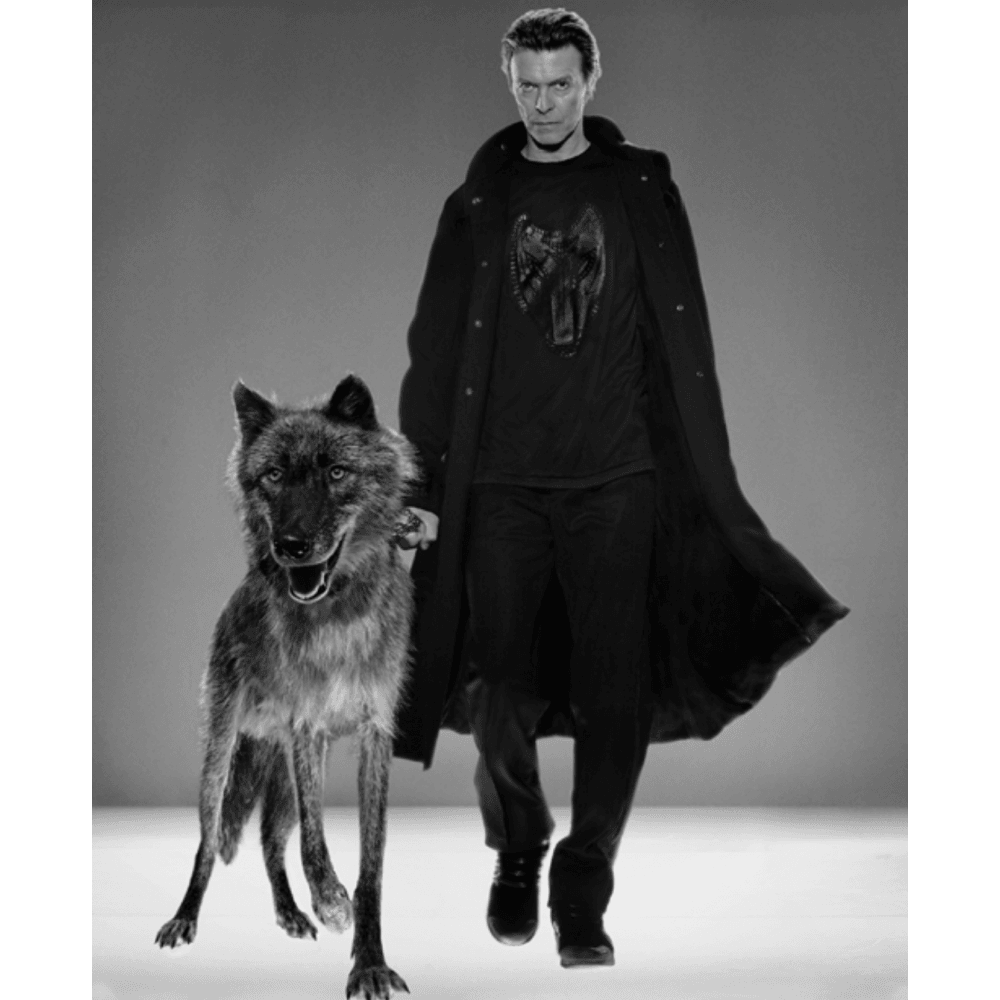 Natural Villains (New York, 2002)