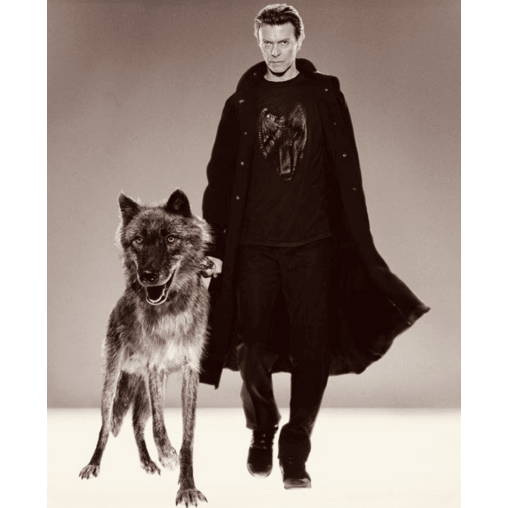 Natural Villains (New York, 2002)