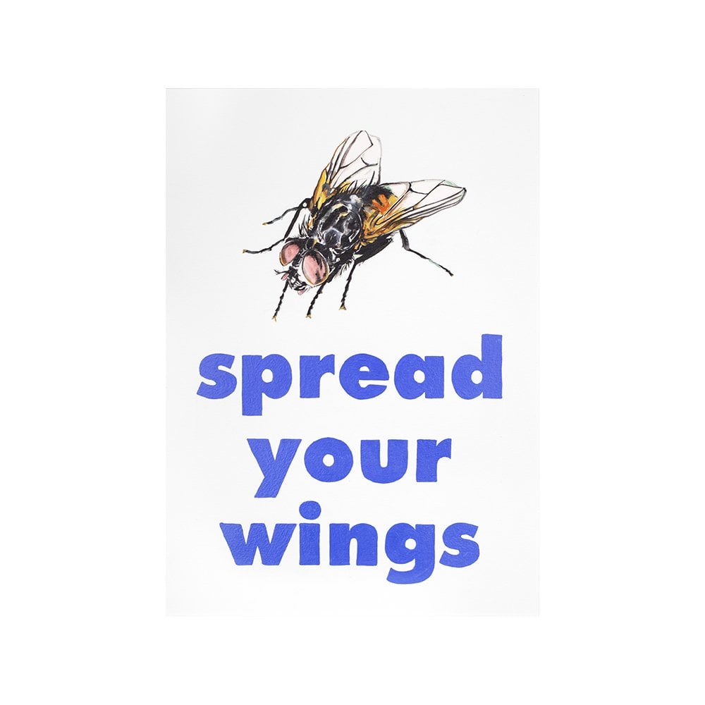 Spread Your Wings