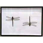 Gucci Dragonfly