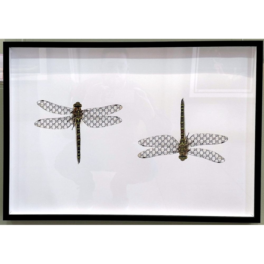 Gucci Dragonfly