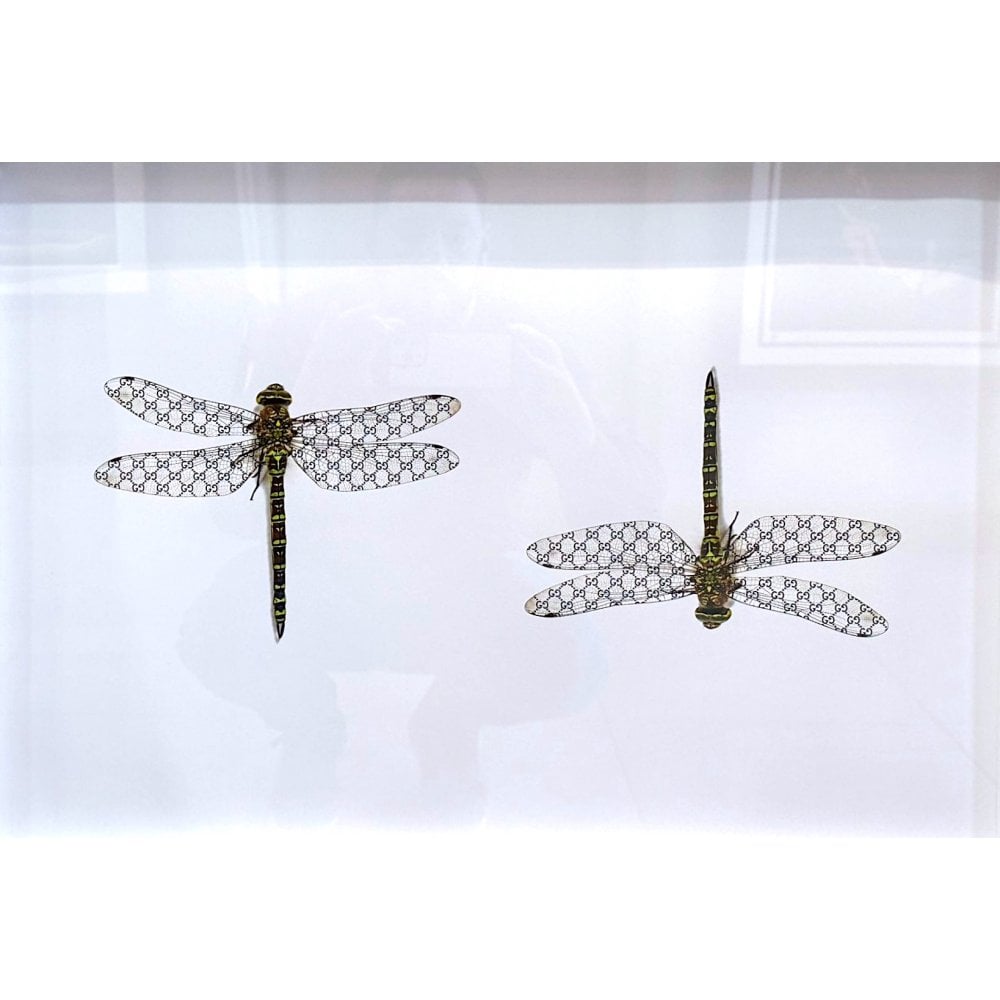 Gucci Dragonfly