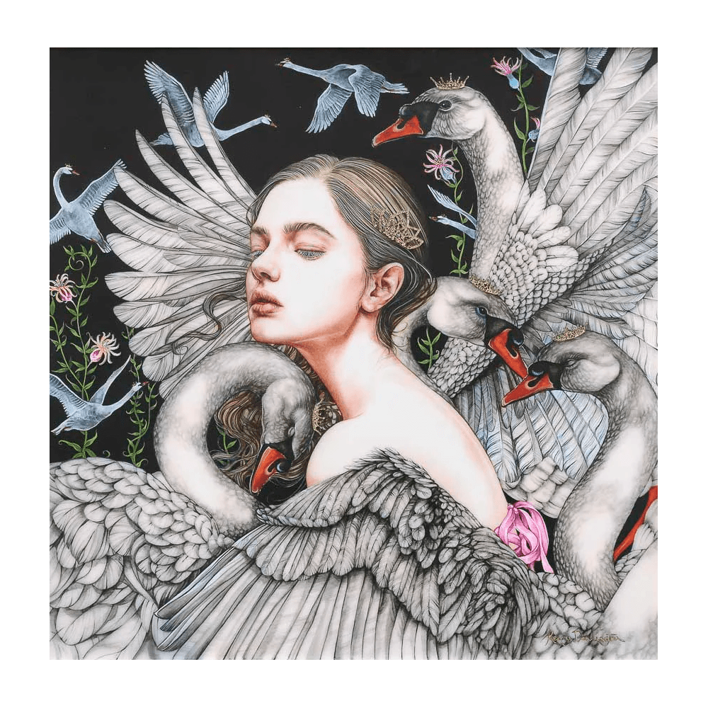 The Wild Swans