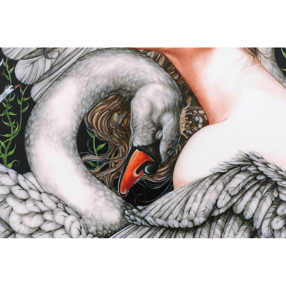 The Wild Swans