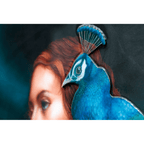 Peacock Princess