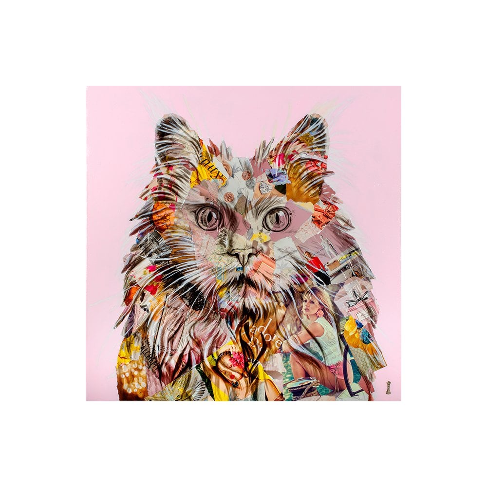 Pampurred