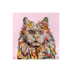 Pampurred