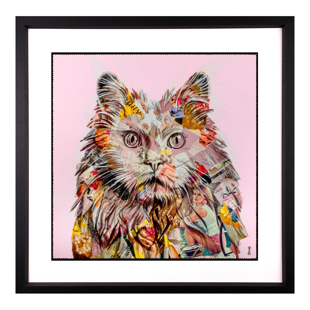 Pampurred