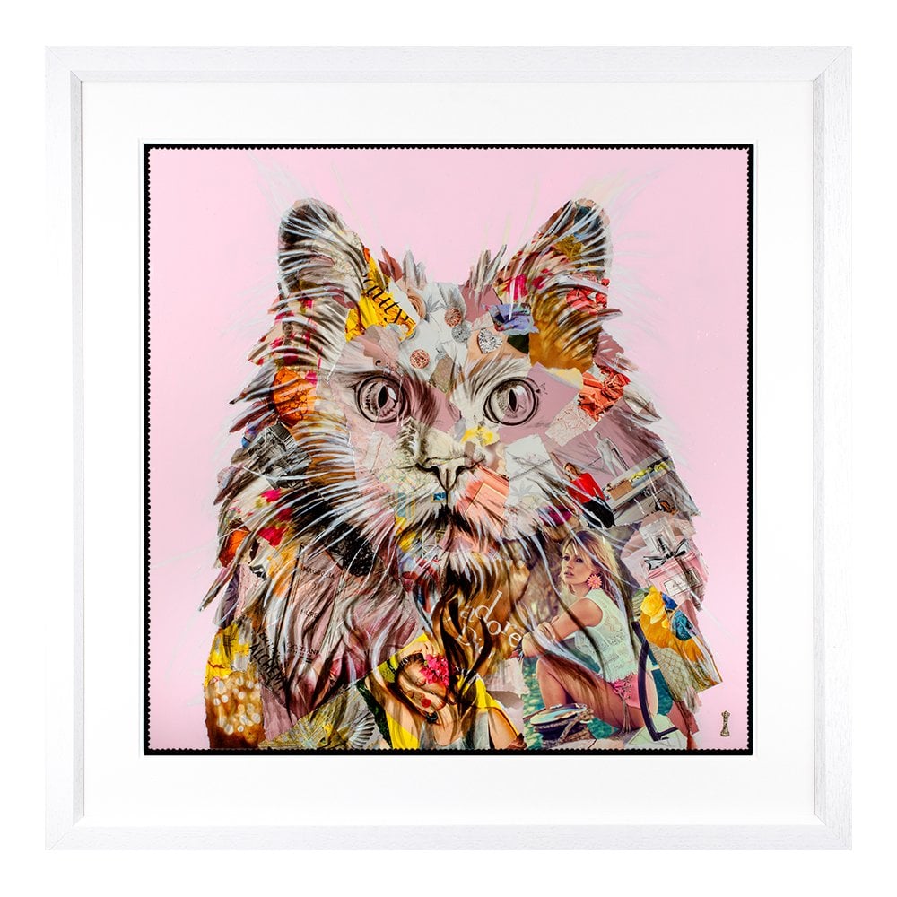 Pampurred