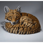Curled Up Fox