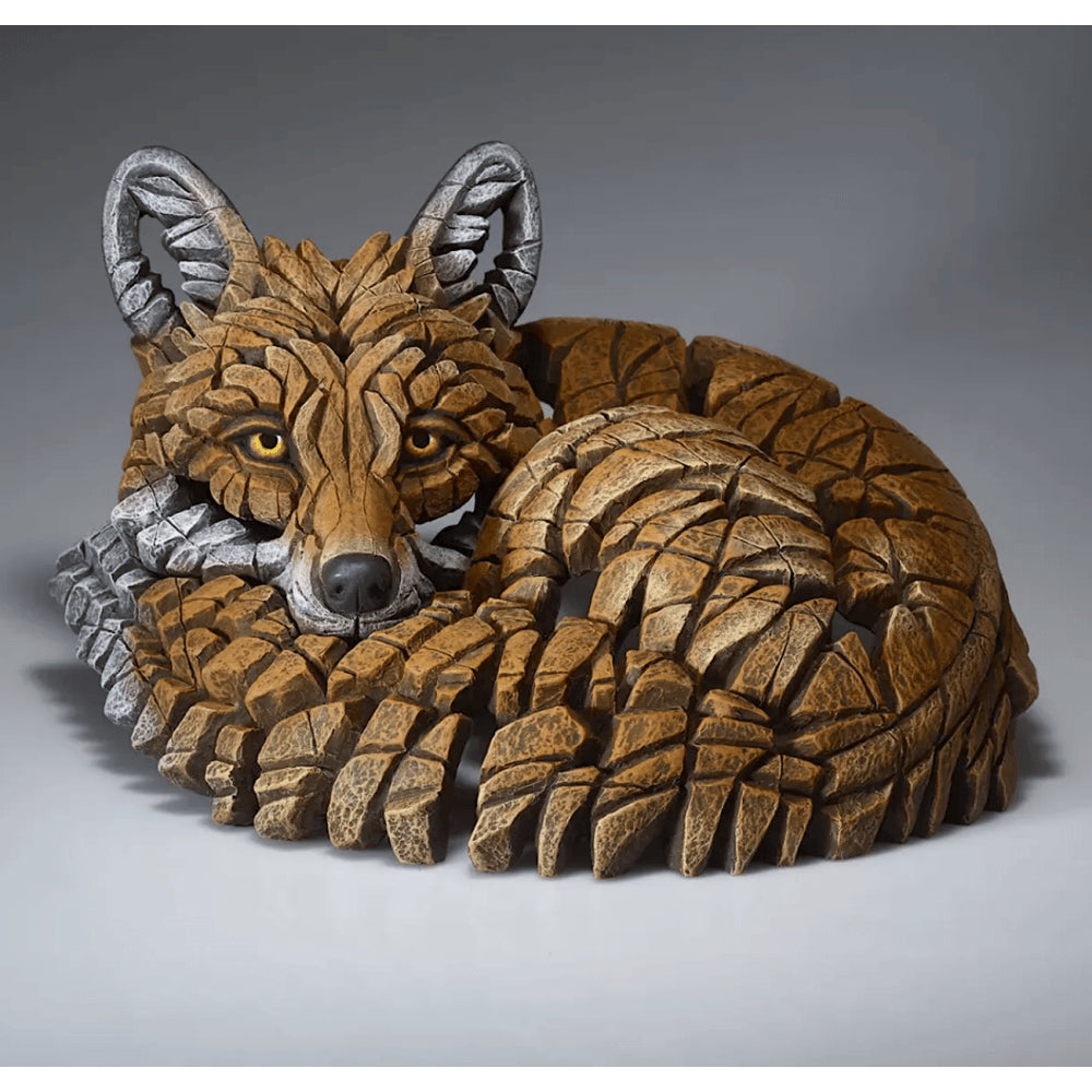 Curled Up Fox