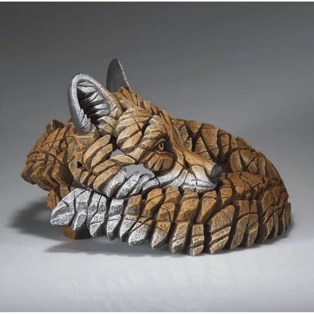 Curled Up Fox