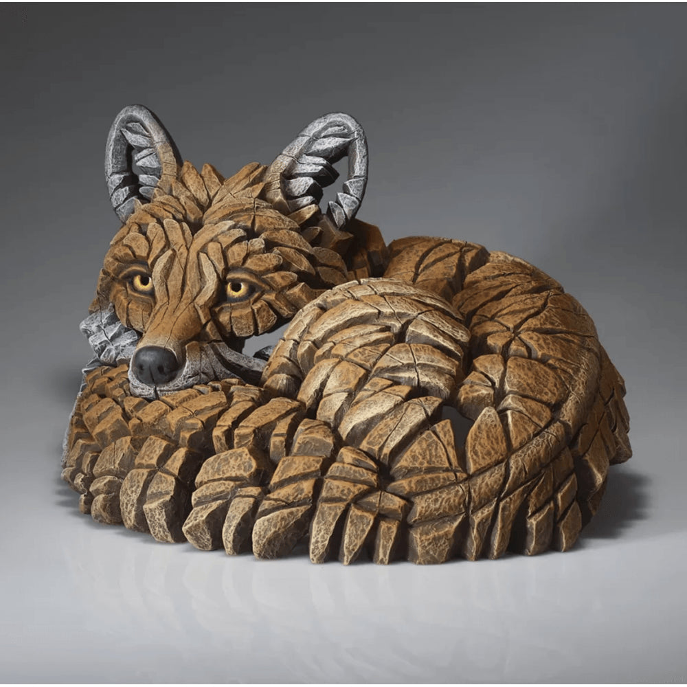 Curled Up Fox
