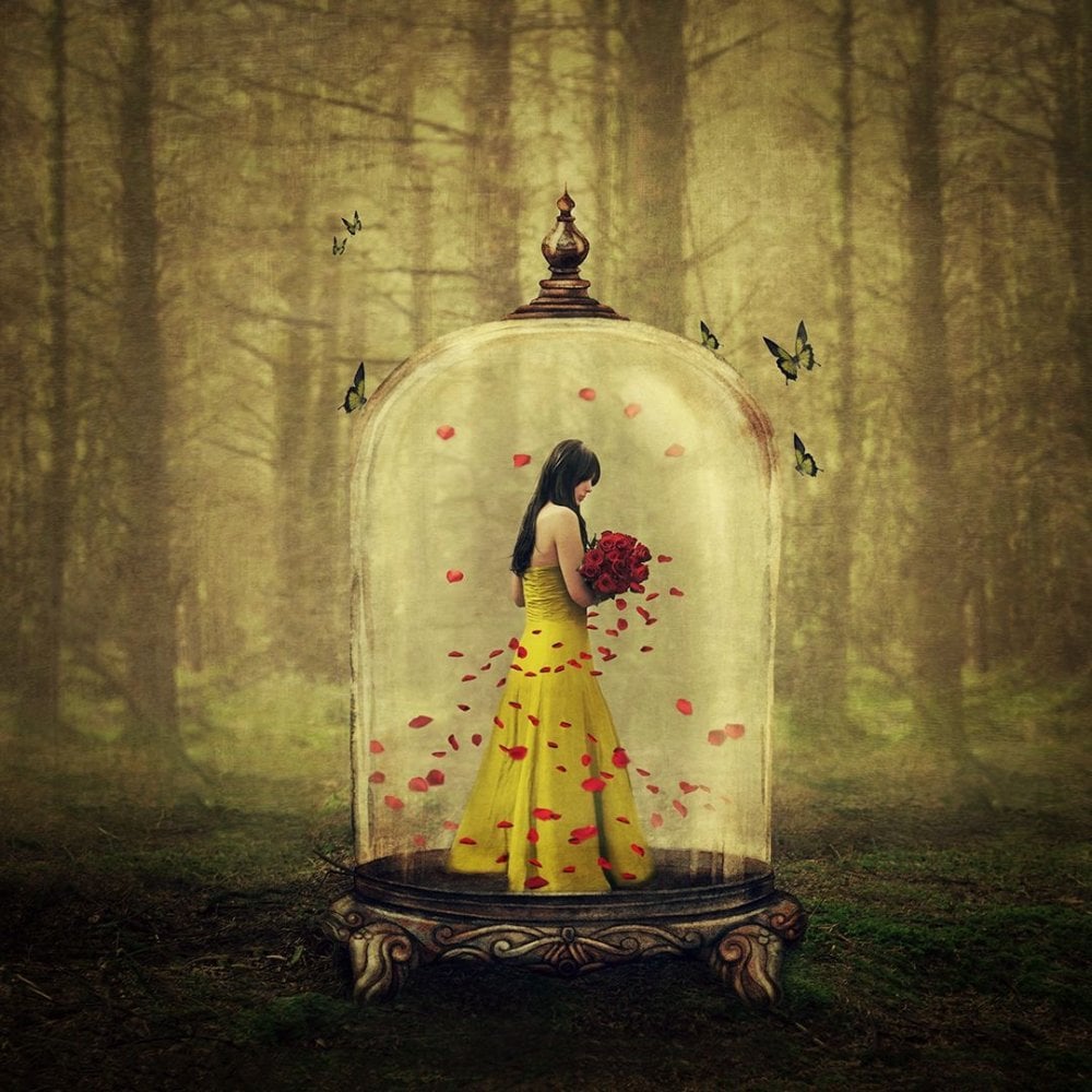 Until The Last Petal Falls (Beauty and the Beast)