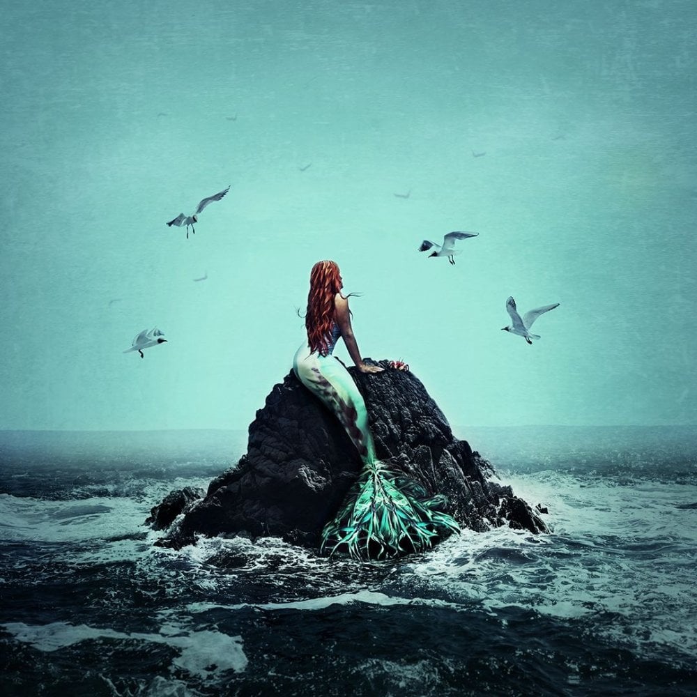 Staying Above Water (The Little Mermaid)