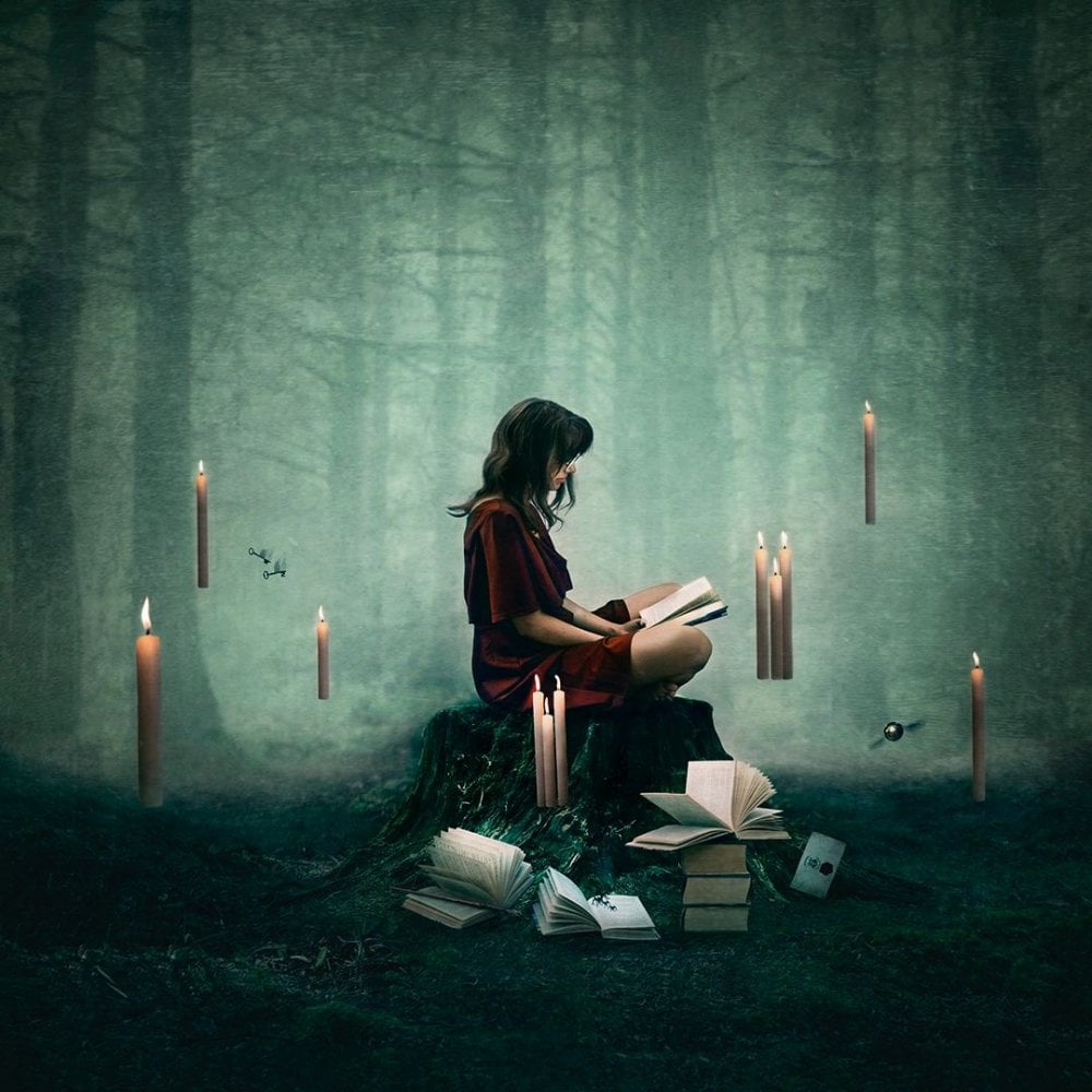Forbidden Forest (Harry Potter)