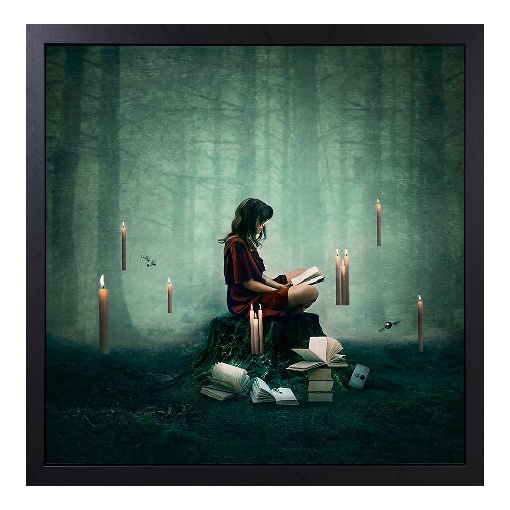 Forbidden Forest (Harry Potter)