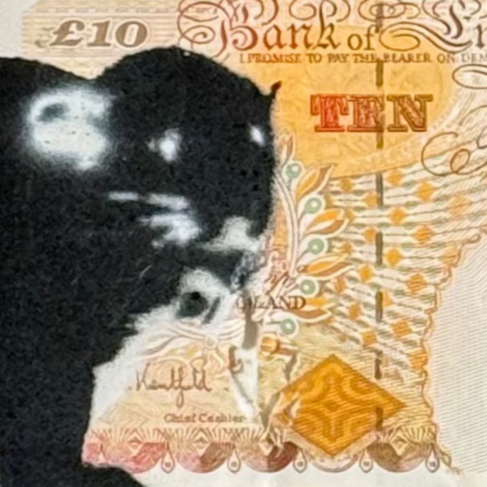 A Note To Blek (Currency Collection)