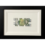 Put It On The Tab (Currency Collection)