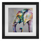 Elephas