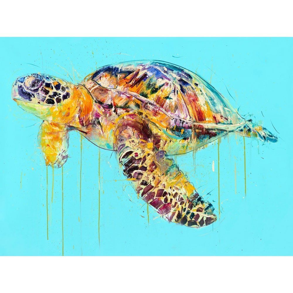 Sea Turtle