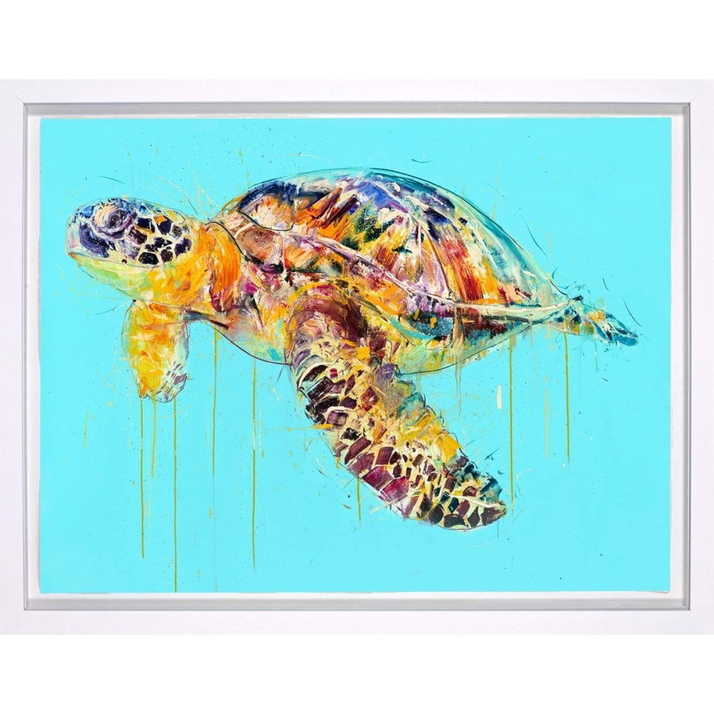 Sea Turtle
