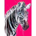 Grevy's Zebra I