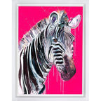 Grevy's Zebra I