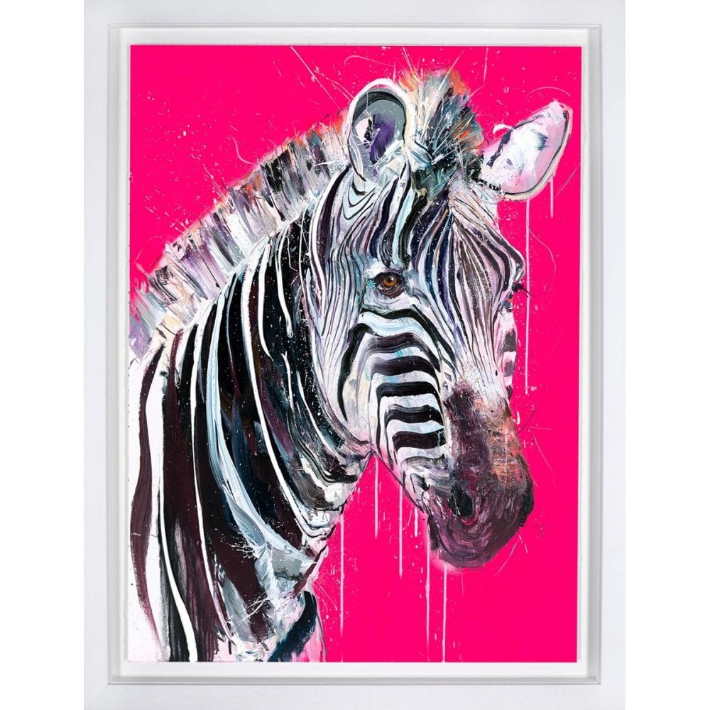 Grevy's Zebra I