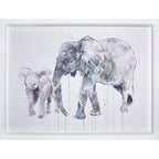 Elephant Calf